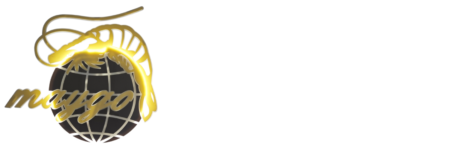 Dam Tooshe  Novin Co.