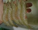 Five Nutritional Benefits of Shrimp